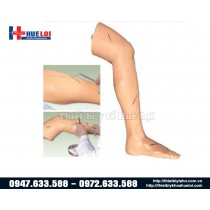 Mô hình thực hành phẫu thuật và khâu da chi dưới